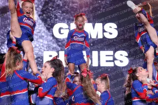 Gems Rubies