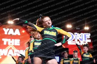 YAA The Swarm