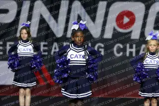 CHEER CATS SPARKLE