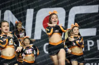 VACAVILLE ELITE OG