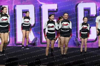 Crush Cheer Academy TAA Roses