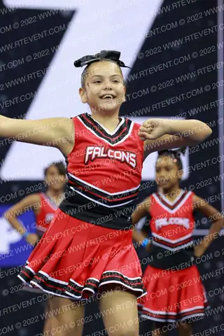 MODESTO FALCONS NA