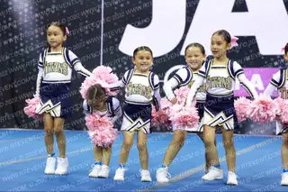 ALVAREZ TITANS JR PEE WEE NA