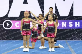 DIVERSITY ELITE PINK ANGELS NA