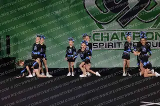 Lions Cheer Company Cubs