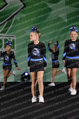Lions Cheer Company Mighty Cats