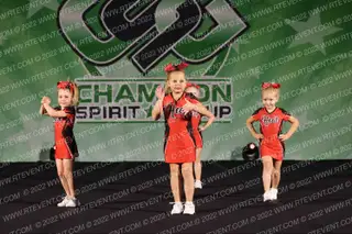 Illinois Heat Athletics Sparklers