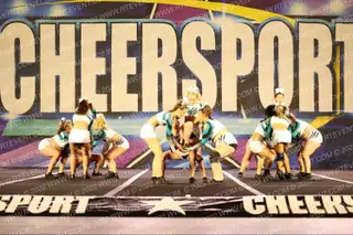 Top Notch All Stars Cheetahs