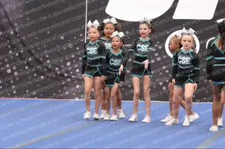 CALIFORNIA SPIRIT ELITE MINI MAGIC NA