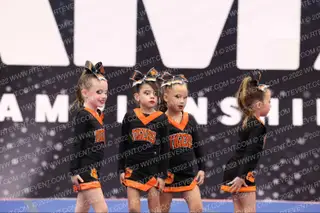 ROSEVILLE JR TIGERS MASCOTS NA