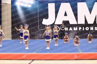 LINCOLN JR ZEBRAS MASCOTS NA