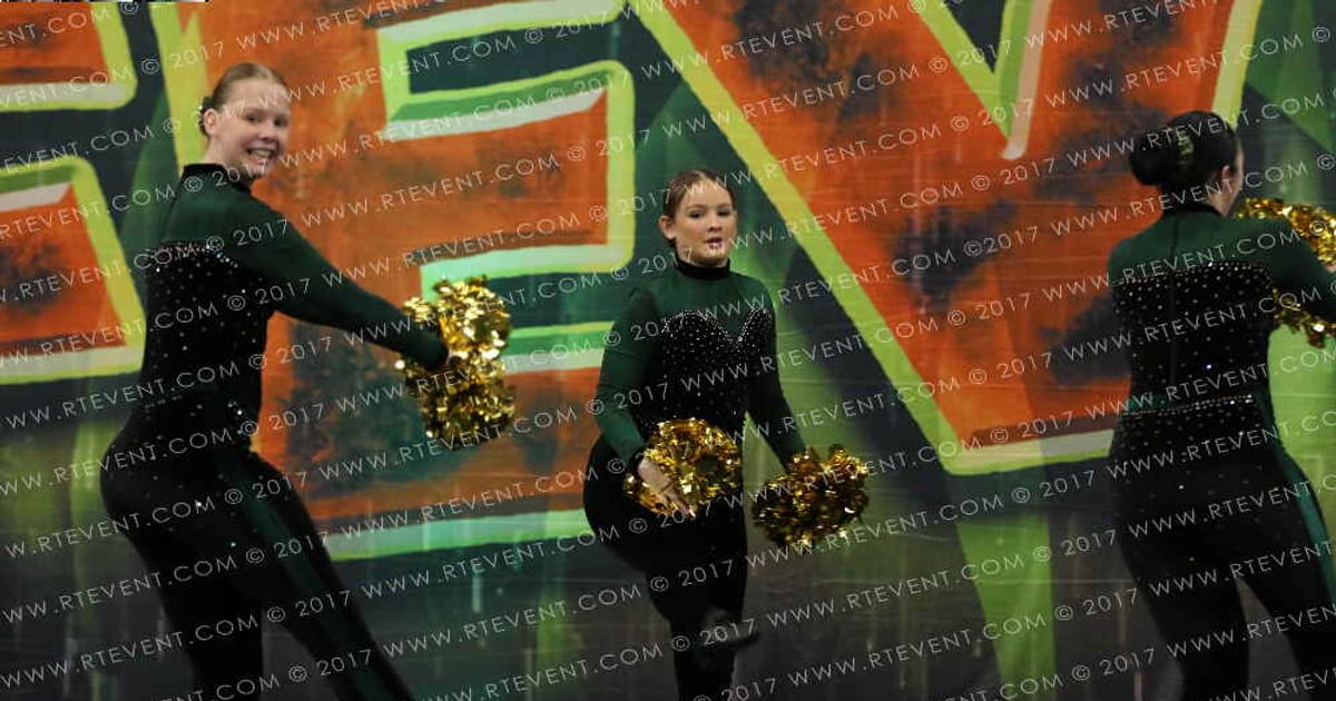Basically Cheer Nova Stars · Jungle Fever