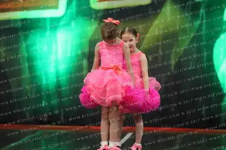 Basically Cheer Mini Stars
