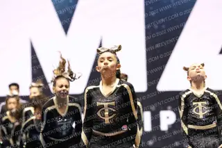 COBRAS JV NA