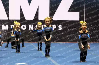 THE CALIFORNIA ALLSTARS STARLIGHT NA