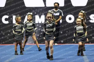 LIGHTNING ELITE MINI MIST NA