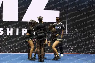 ICDP BLACKACE NA