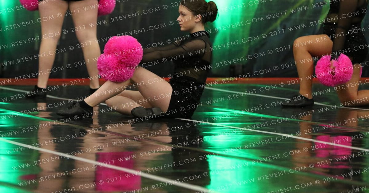 Basically Cheer Vega Stars · Jungle Fever