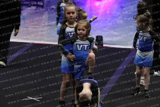Vista Twisters Fireflies