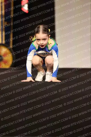 The Stingray All Stars Daisy
