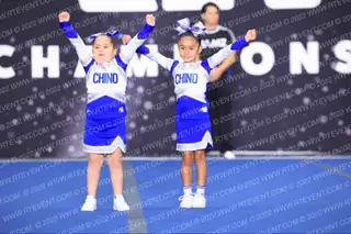 CHINO COLTS TINY MITE