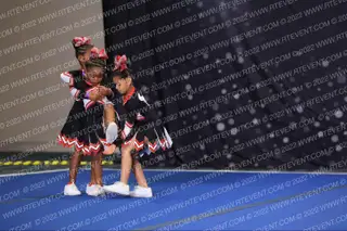 LAKEWOOD LONGHORNS 8U