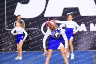 SHARKS MIGHTY MITE