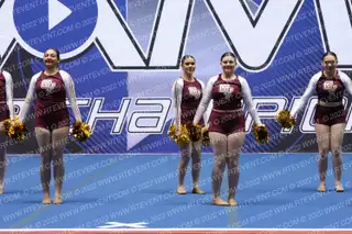 LADY COUGARETTES