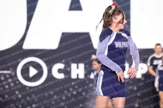 ALPHA WOLVES