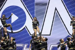 TRIBE ELITE DYNASTY