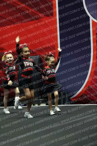 Stars Vipers San Antonio Boa Babes