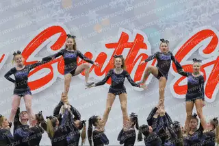 PA Royal Elite Royal Venom