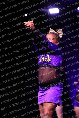 York Elite Platinum