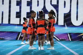 Royalty Brand Athletics