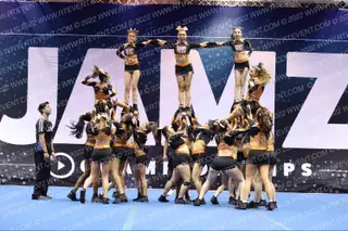 VACAVILLE ELITE LADY LEGACY