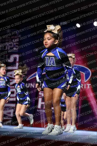 Island Allstars Royalty