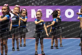 VIBE MINI CRUSH