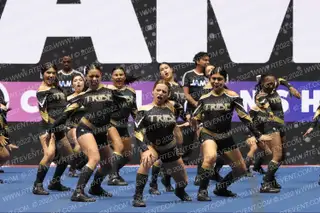 TRIBE ELITE DYNASTY