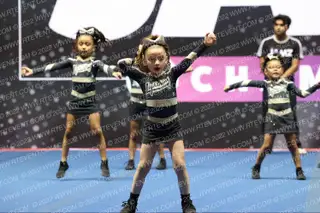 LIGHTNING ELITE MINI MIST