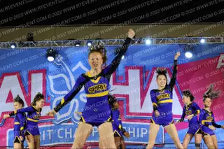 Spirit Central Metro-West Platinum Cats