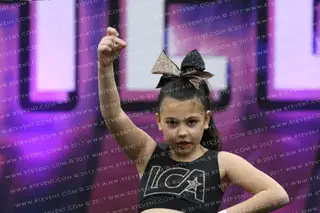 Legacy Cheer Athletics Icons