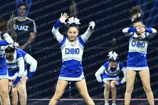 CHINO COLTS PEE WEE