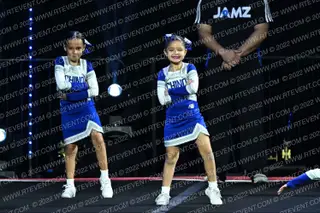 CHINO COLTS TINY MITE