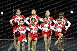 STEINBECK TIGERS JPW