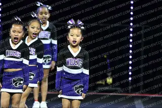 FRANKLIN JR WILDCATS TEAM GLITTER