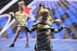 Gloucester Royals Shimmer