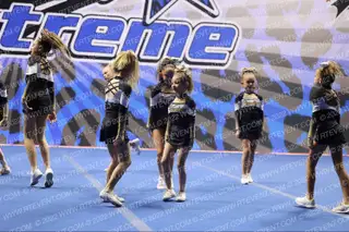 Winfield Cavaliers Mini Gold