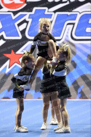 Winfield Cavaliers Tiny X
