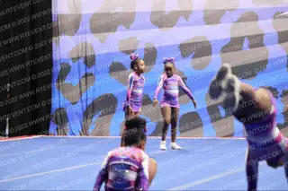 Taylor Made Allstars Super Models