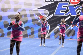 Pink Dynamic Divas